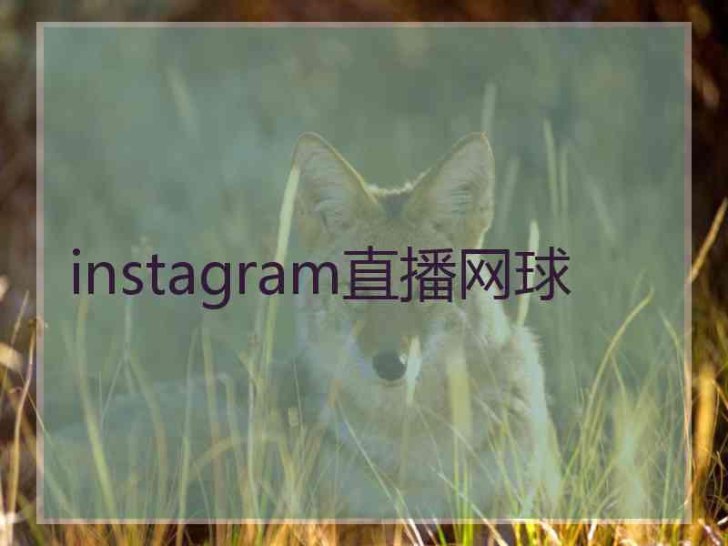 instagram直播网球