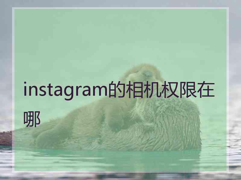 instagram的相机权限在哪