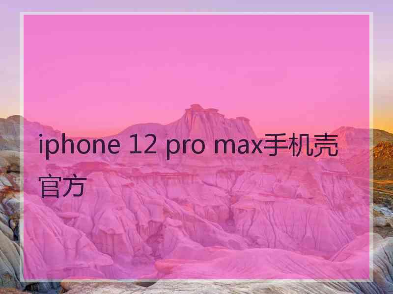 iphone 12 pro max手机壳官方