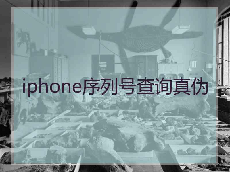 iphone序列号查询真伪