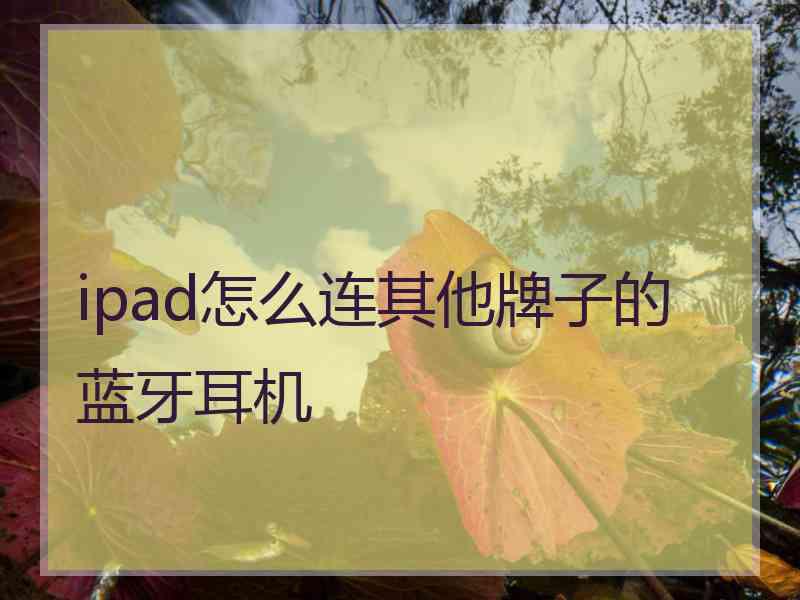 ipad怎么连其他牌子的蓝牙耳机