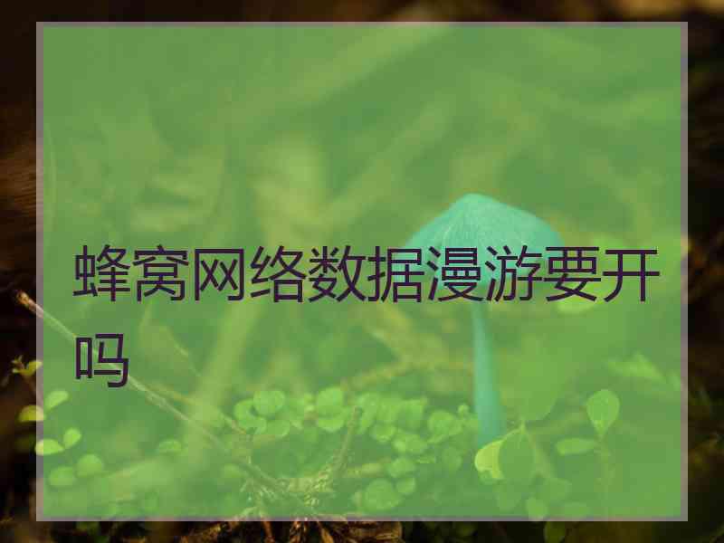 蜂窝网络数据漫游要开吗