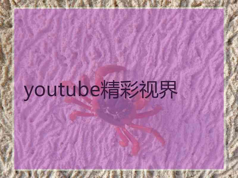 youtube精彩视界