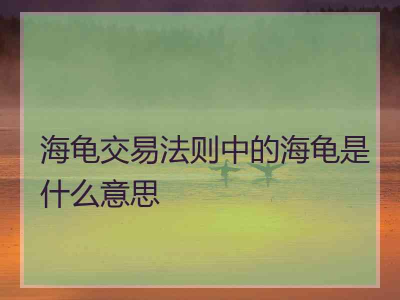 海龟交易法则中的海龟是什么意思