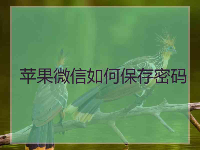 苹果微信如何保存密码