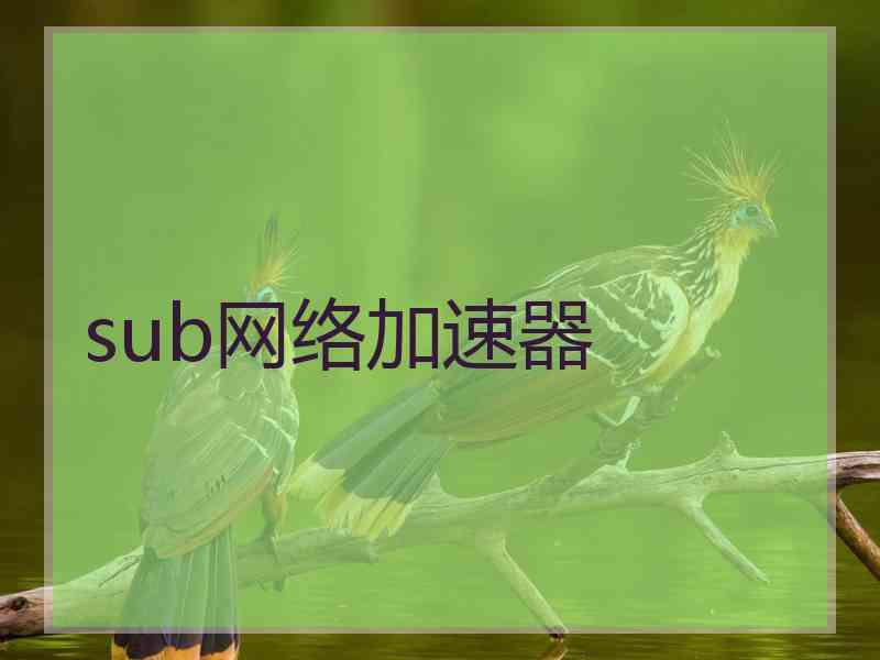 sub网络加速器