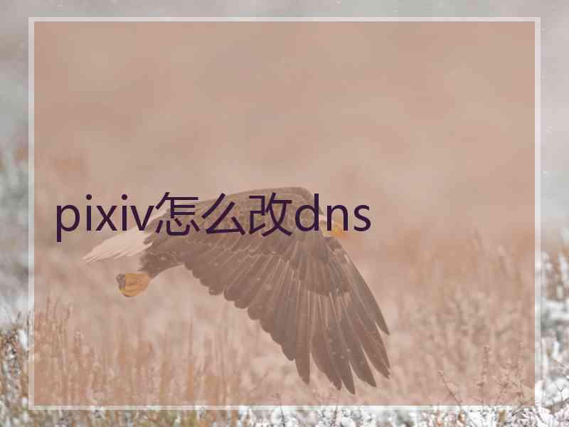 pixiv怎么改dns