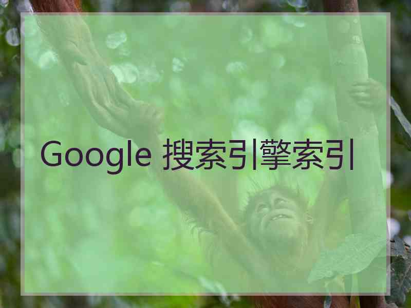 Google 搜索引擎索引