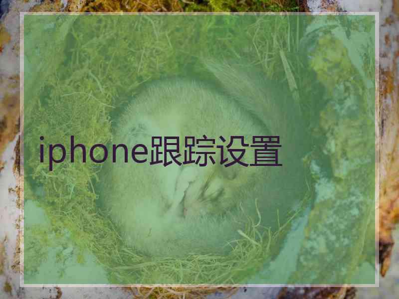 iphone跟踪设置