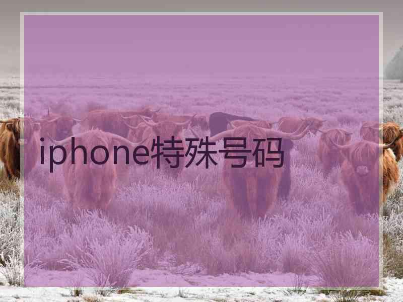 iphone特殊号码