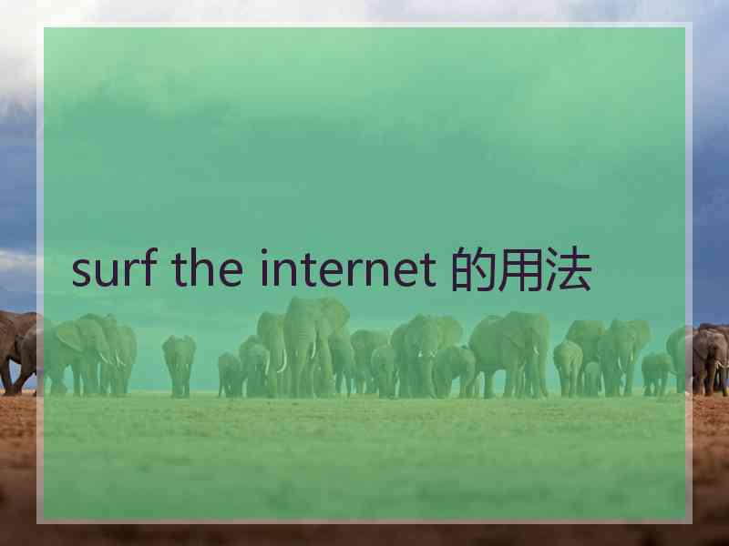 surf the internet 的用法