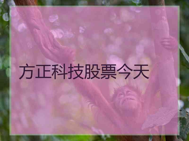 方正科技股票今天