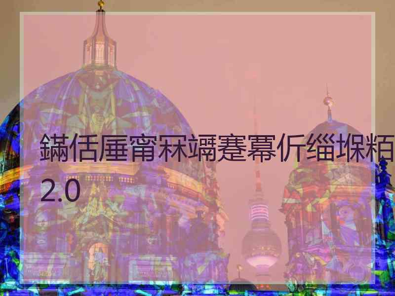 鏋佸厜甯冧竵蹇冪伒缁堢粨2.0