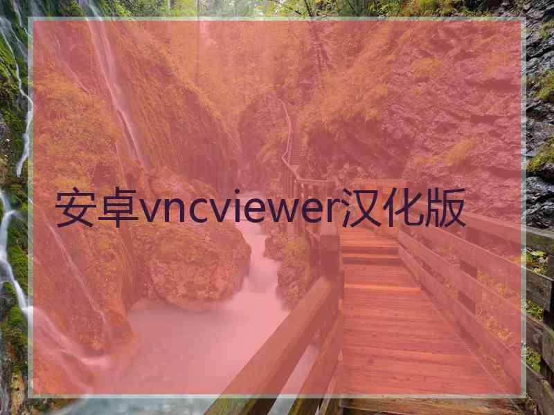 安卓vncviewer汉化版