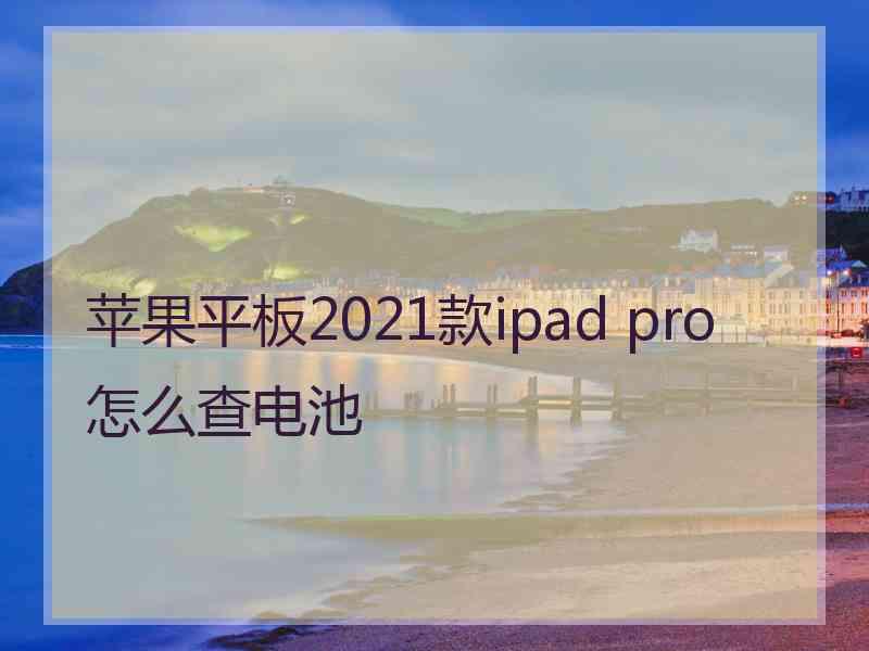 苹果平板2021款ipad pro怎么查电池