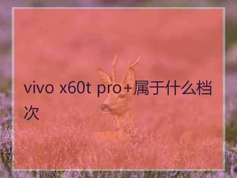 vivo x60t pro+属于什么档次