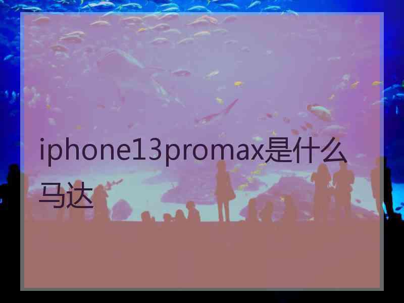 iphone13promax是什么马达