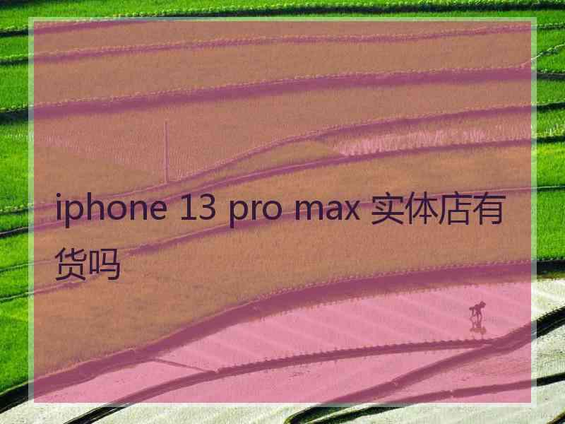 iphone 13 pro max 实体店有货吗