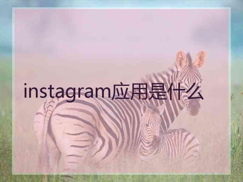 instagram应用是什么