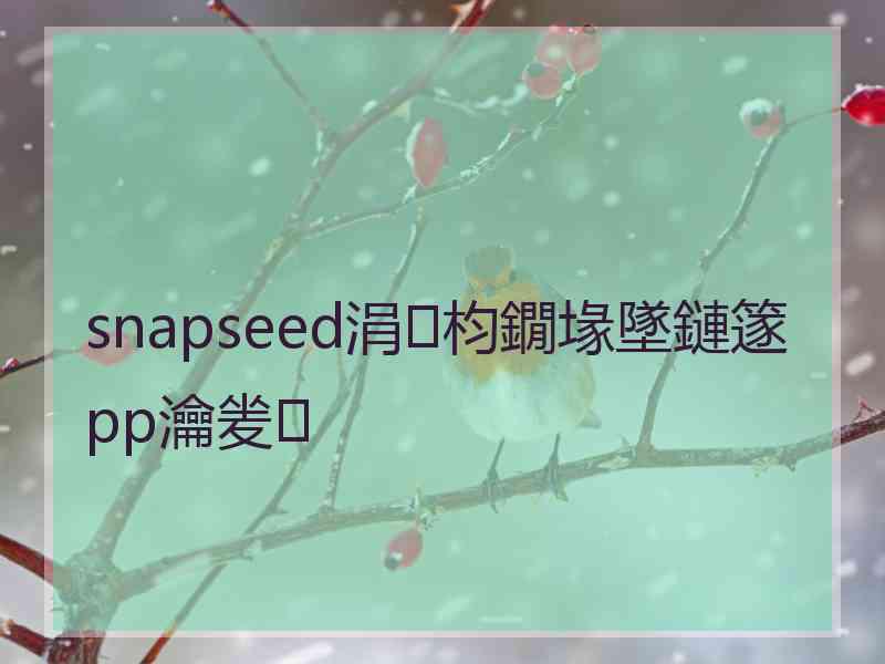 snapseed涓枃鐗堟墜鏈篴pp瀹夎