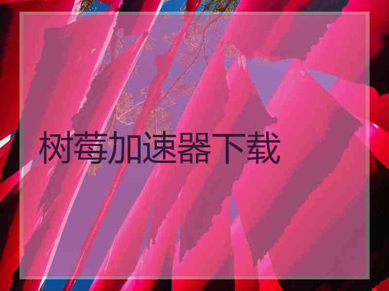 树莓加速器下载