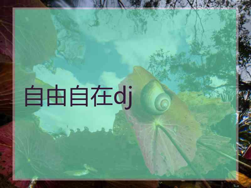 自由自在dj