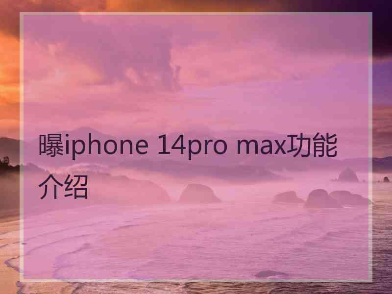 曝iphone 14pro max功能介绍