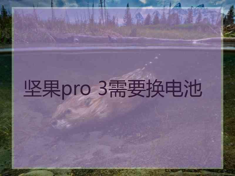 坚果pro 3需要换电池