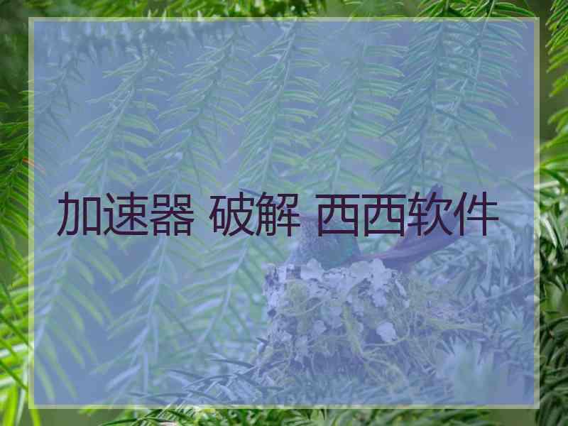 加速器 破解 西西软件