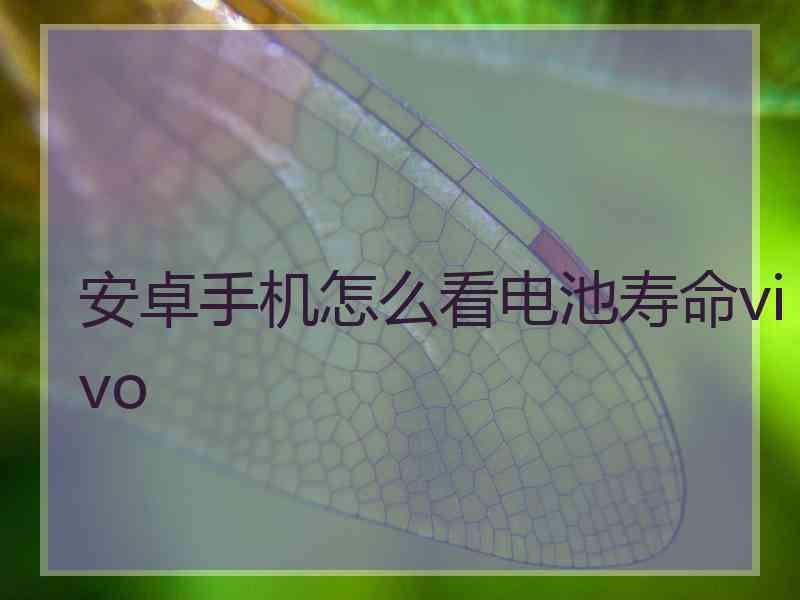 安卓手机怎么看电池寿命vivo