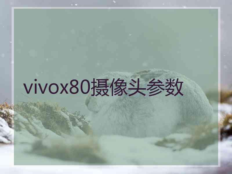 vivox80摄像头参数