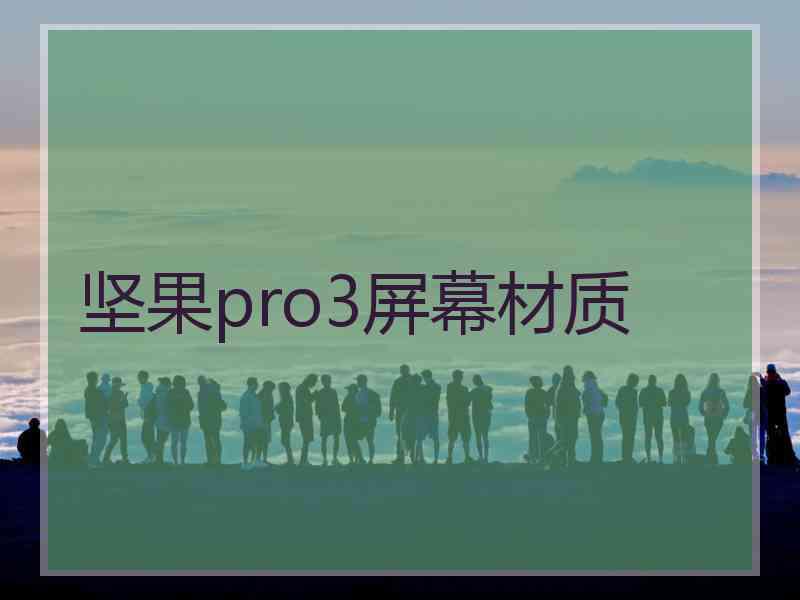 坚果pro3屏幕材质