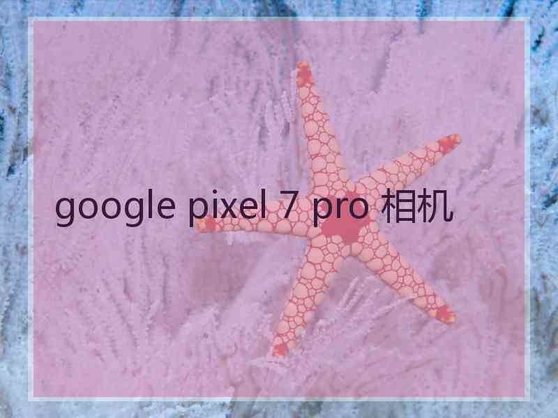 google pixel 7 pro 相机