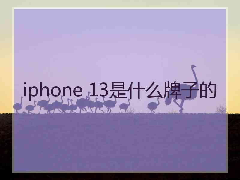 iphone 13是什么牌子的