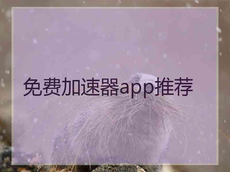 免费加速器app推荐