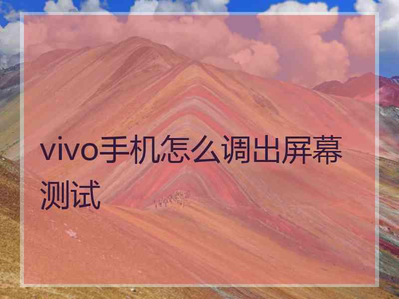 vivo手机怎么调出屏幕测试