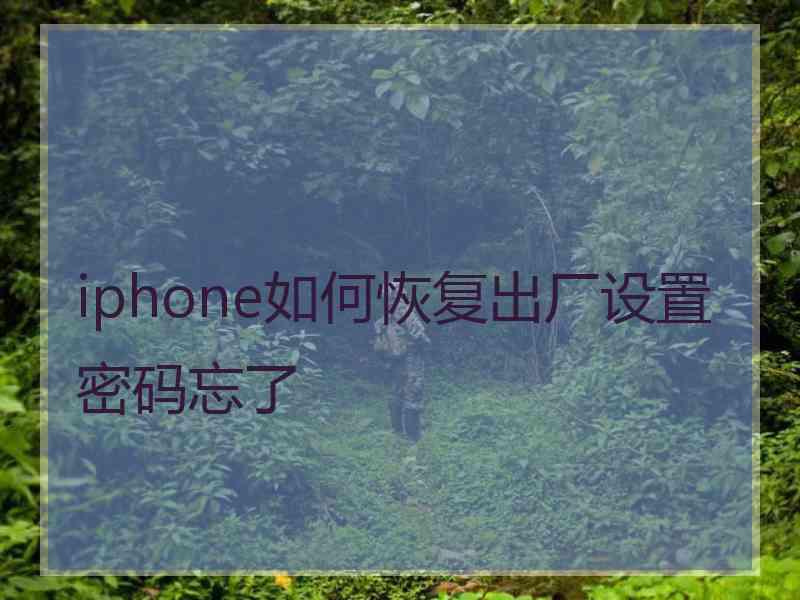 iphone如何恢复出厂设置密码忘了