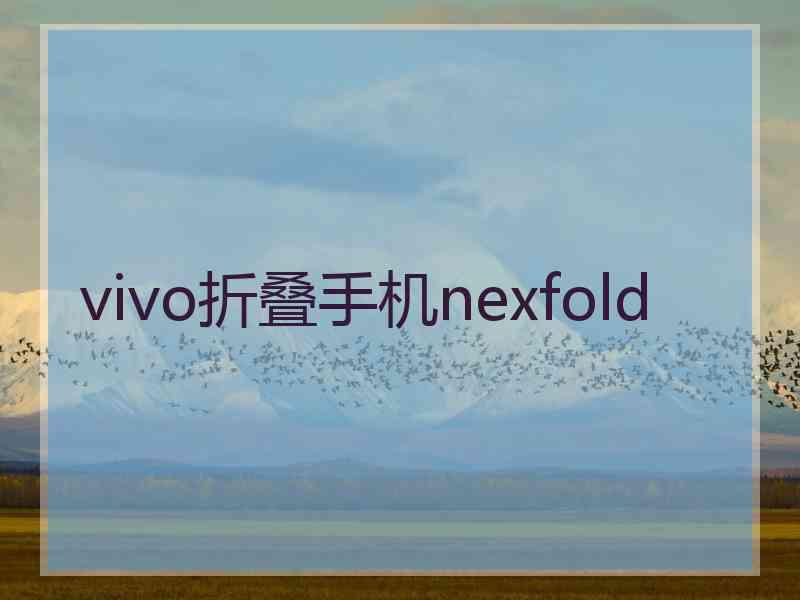 vivo折叠手机nexfold