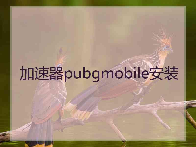 加速器pubgmobile安装