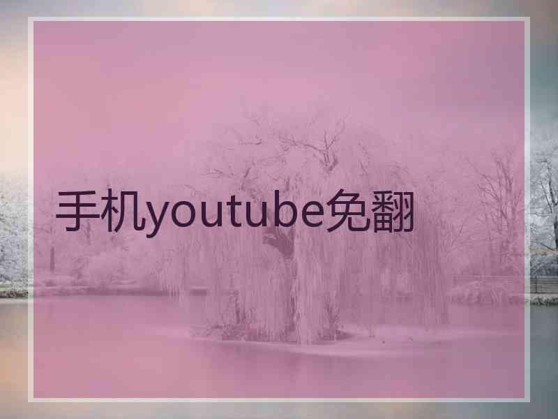 手机youtube免翻