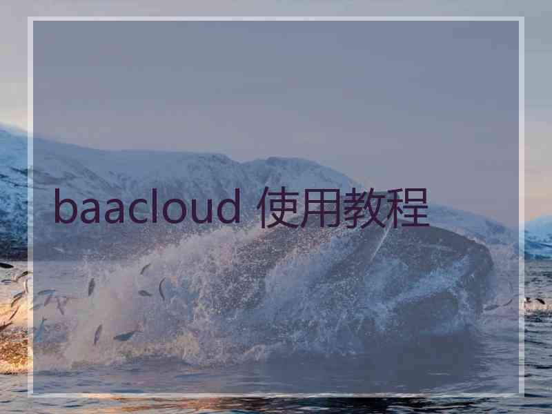 baacloud 使用教程