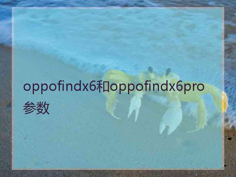 oppofindx6和oppofindx6pro参数