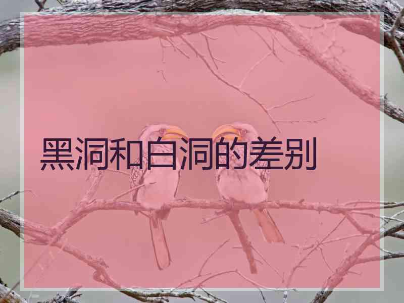 黑洞和白洞的差别