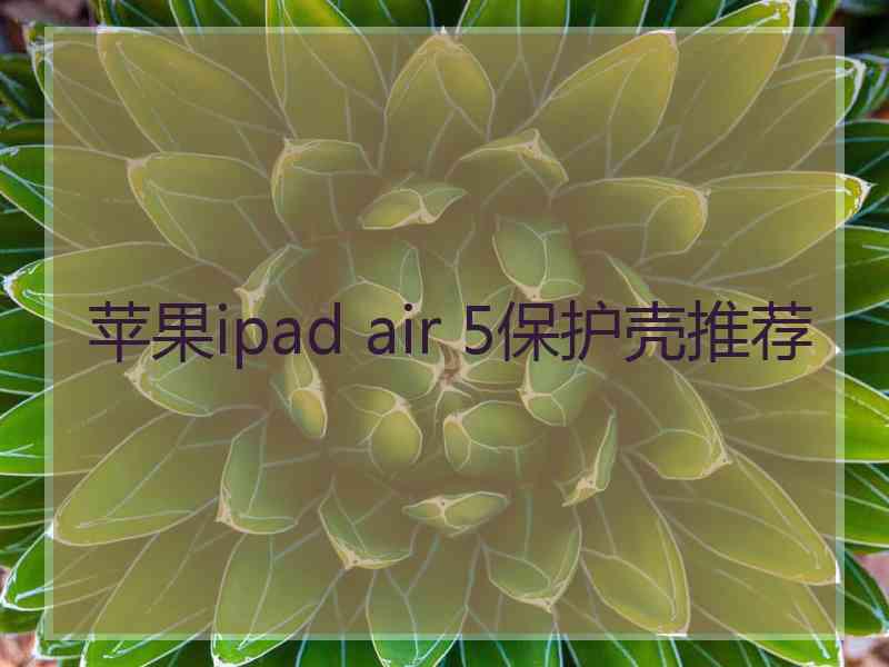 苹果ipad air 5保护壳推荐