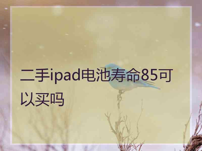 二手ipad电池寿命85可以买吗