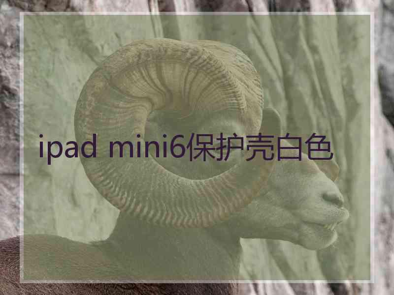 ipad mini6保护壳白色