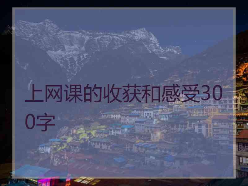 上网课的收获和感受300字