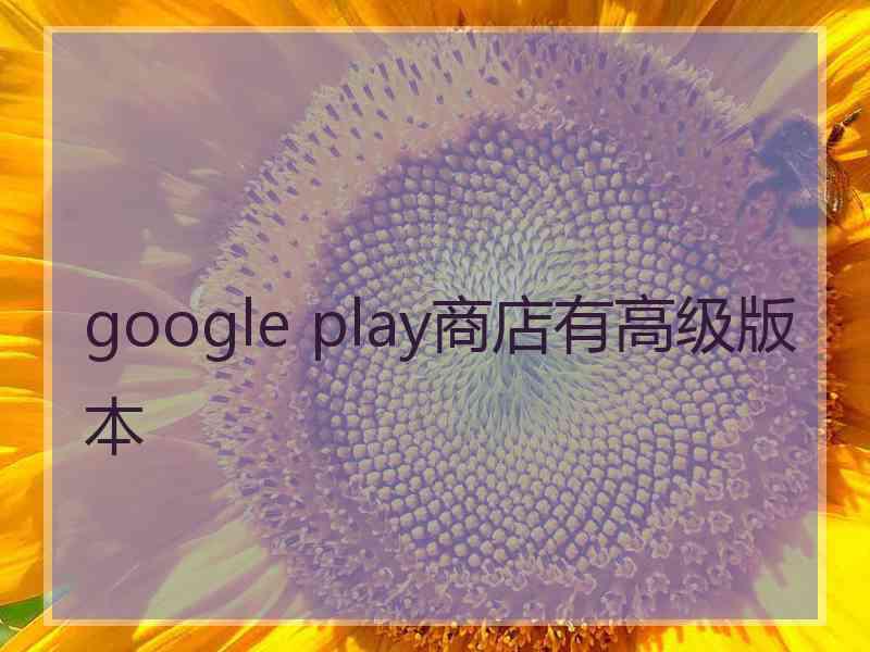 google play商店有高级版本