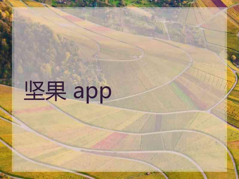 坚果 app