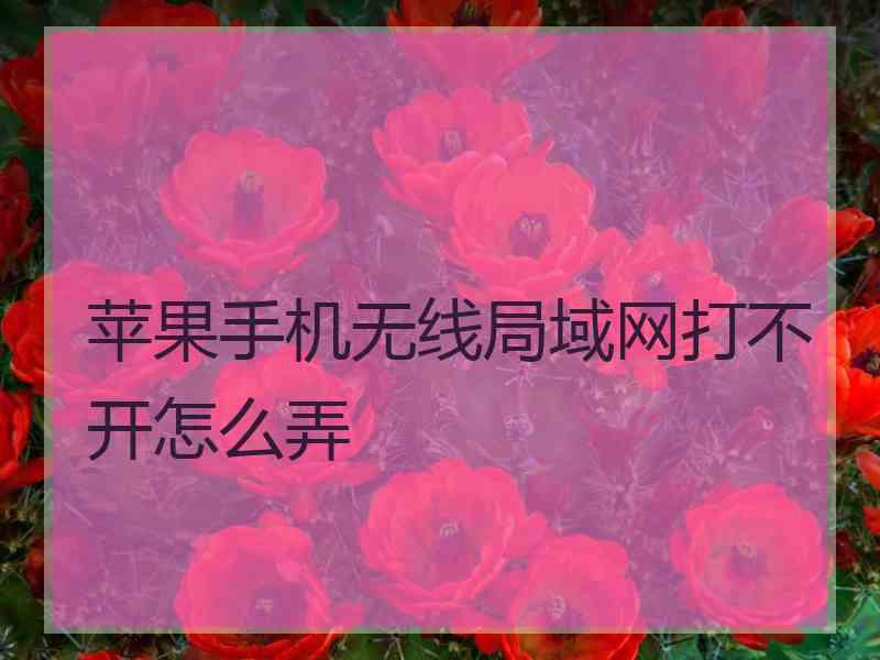 苹果手机无线局域网打不开怎么弄